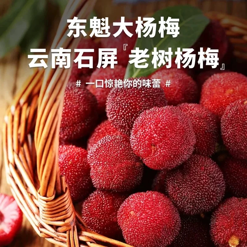 【果然好】东魁杨梅云南高山现摘新鲜杨梅新鲜应季水果包邮G云南省