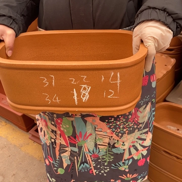 紫砂花盆只顾吃药