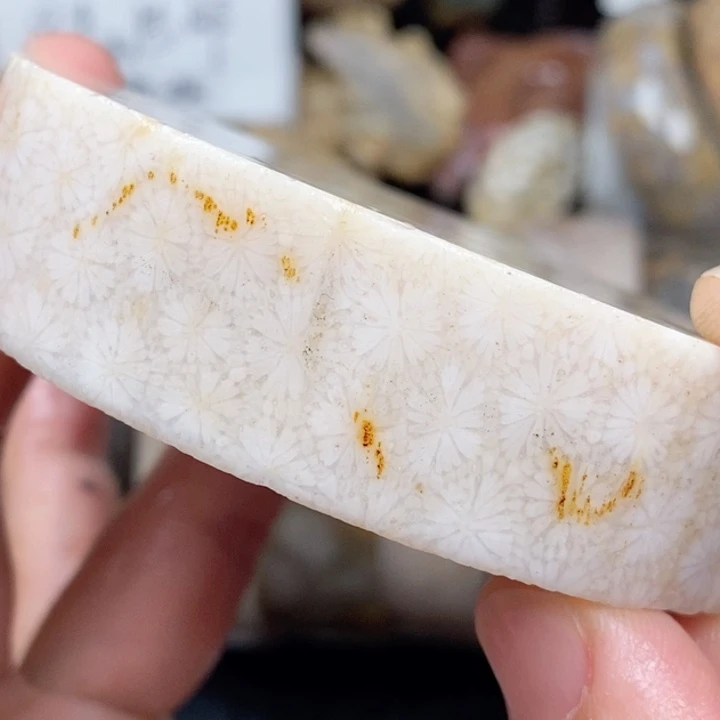 硅化玉未镶嵌颈饰