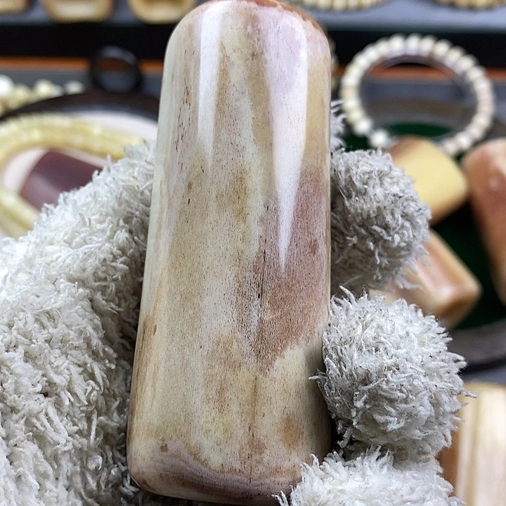 秋***星驼骨手串/手链杂件