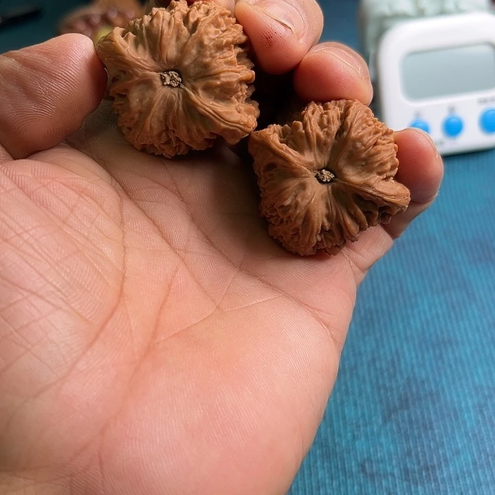 大叶紫檀（黑酸枝木类）