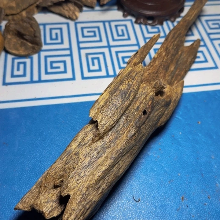 木质母树绿奇陆河237克