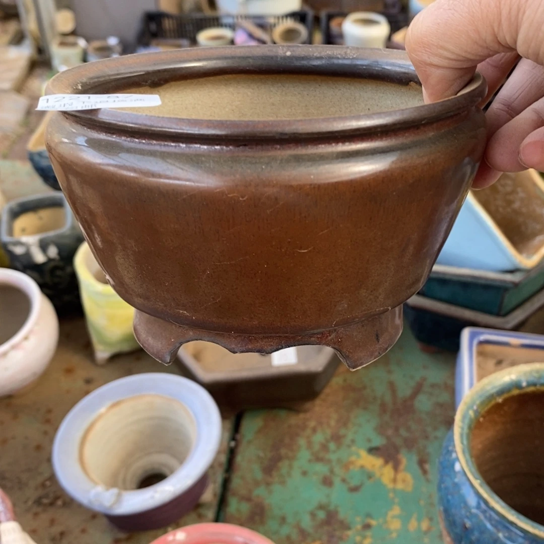 87号多肉盆口径11