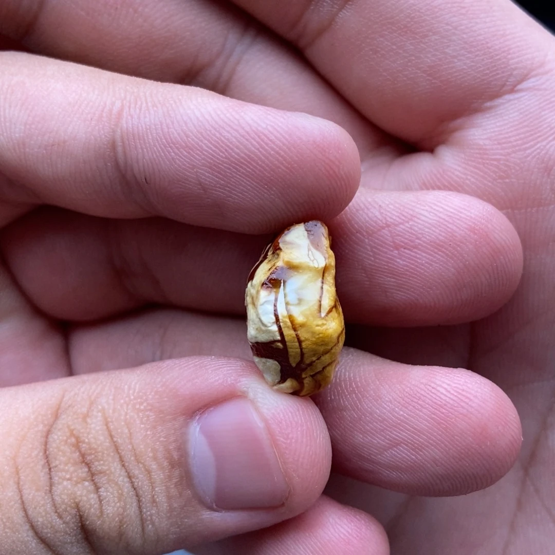 定制琥珀未镶嵌定制