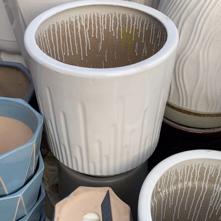 低腰白音符大号口33/36