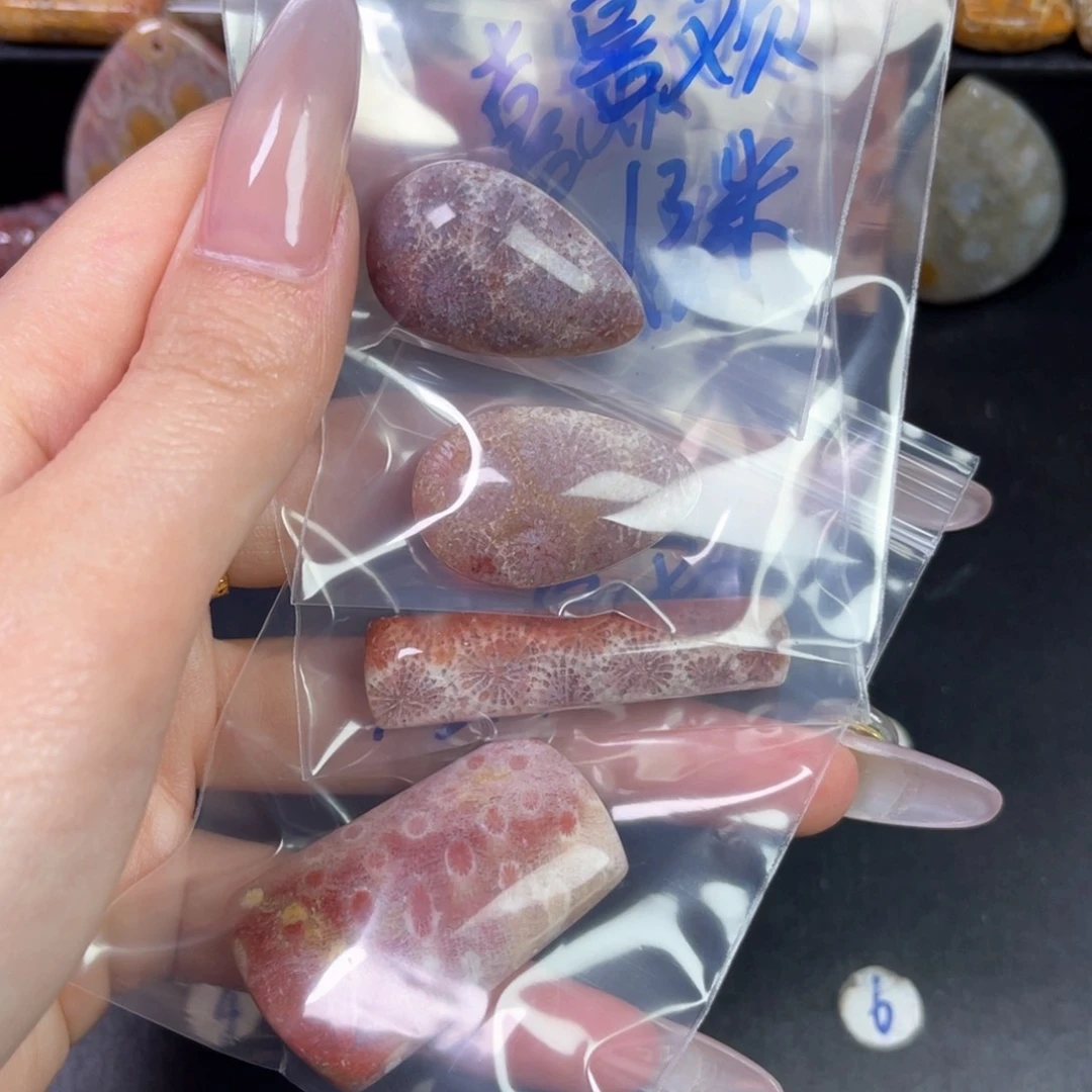 硅化珊瑚（珊瑚玉）吊坠未镶嵌