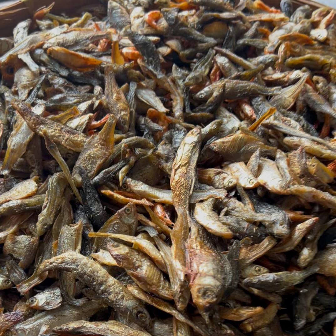 湖南乡下小杂鱼特产小鱼仔