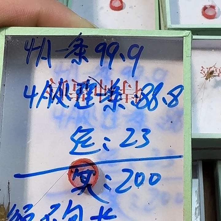 笑***堂蟋蟀蝈222222222222