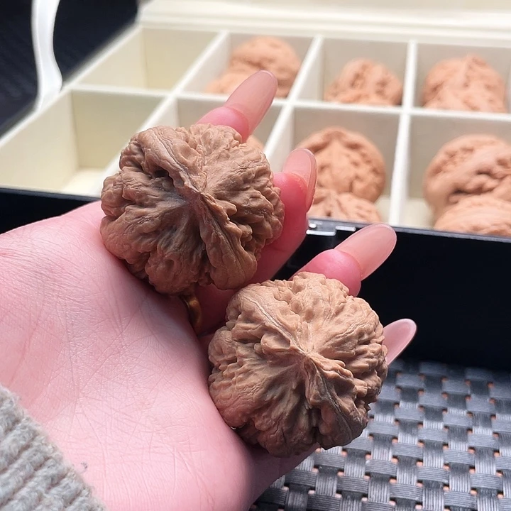 许***汤霸王龙核桃尺寸40