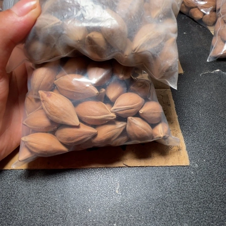 我***儿猪牙手串/手链我是