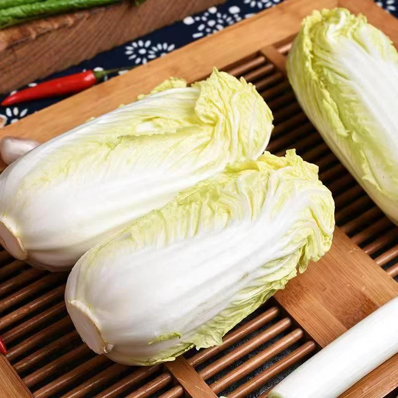 新鲜露天黄心娃娃菜软糯香甜适合火锅涮菜的时令蔬菜