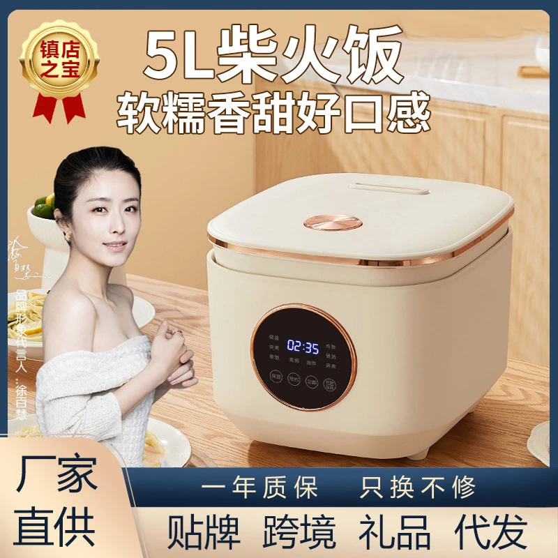 大容量煲汤柴火饭多功能汤锅软糯电炖盅电饭煲小型家用500W