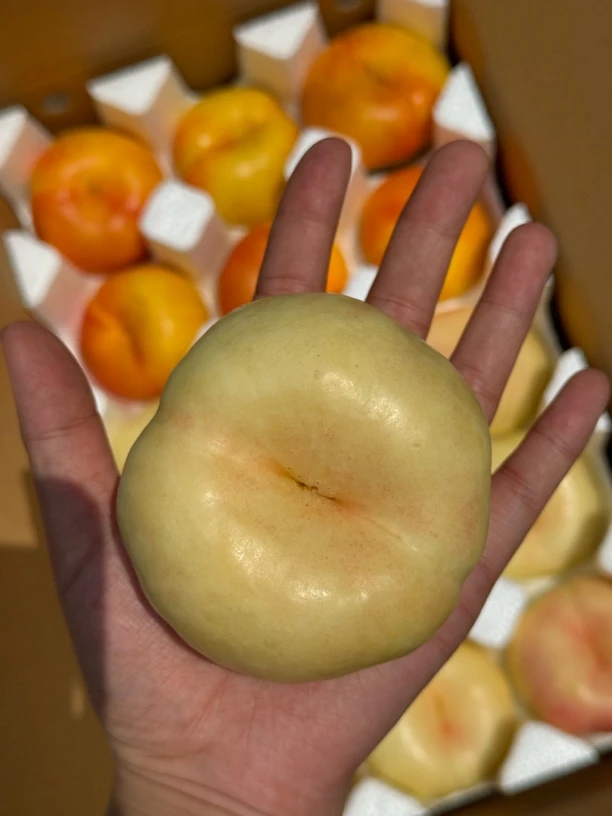 山东蒙阴奶油蟠桃与彩虹油蟠桃组合新鲜多汁桃子陕西