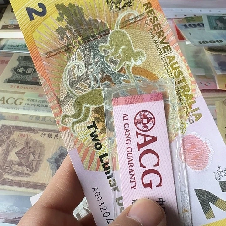 .*.全新的403……………………全新