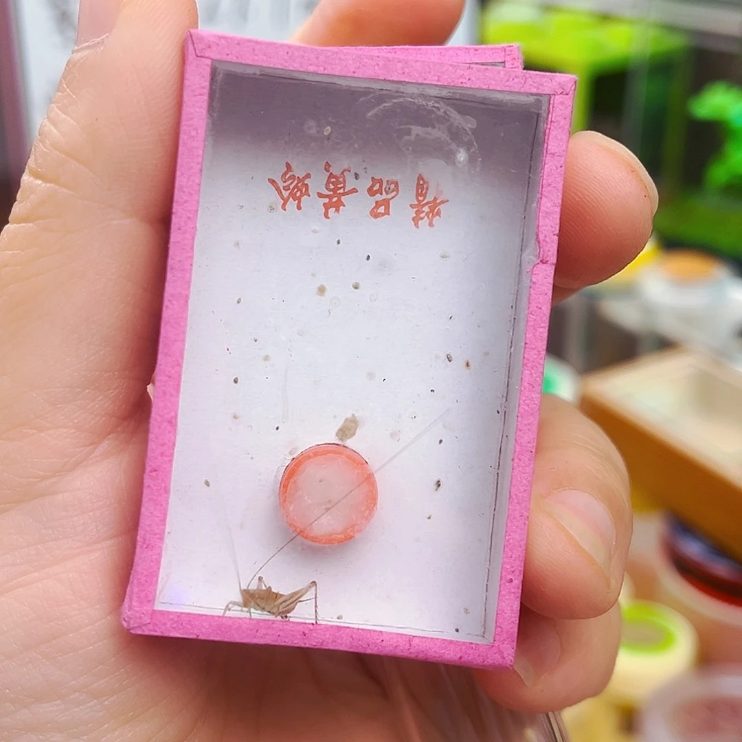 拍拍拍拍拍拍拍拍拍