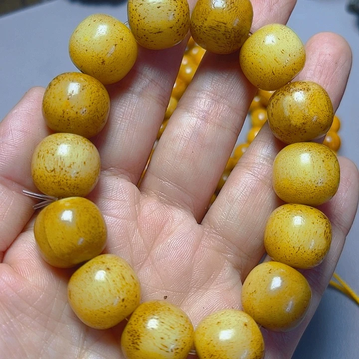 大果紫檀（缅甸花梨）