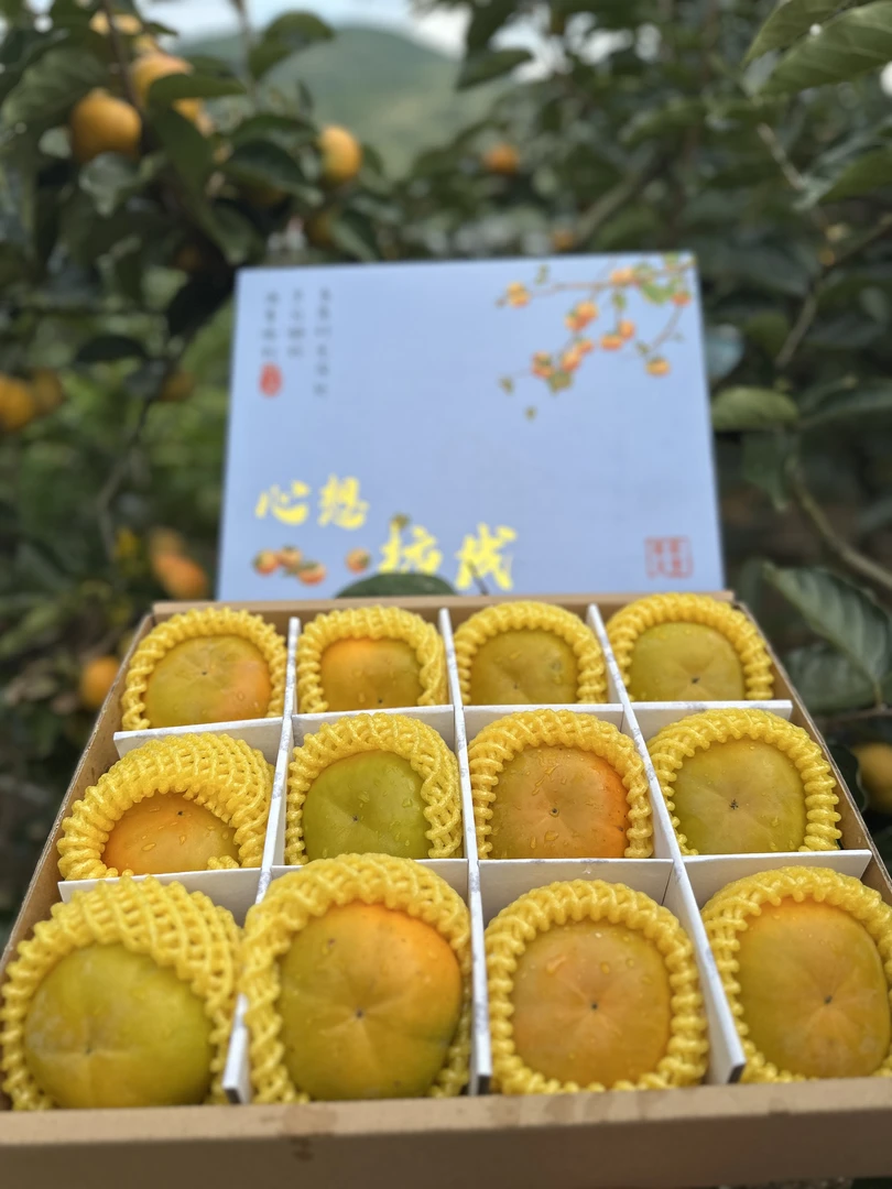 精品甜脆柿云南保山高原新鲜现摘脆甜柿子当季次郎脆柿礼盒整箱