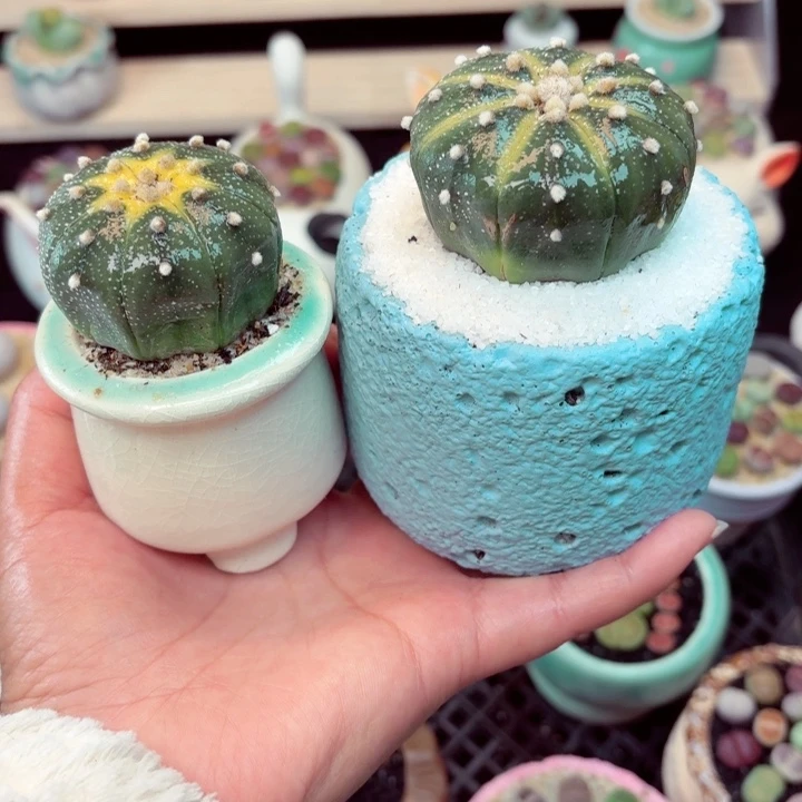 6022零下地区记得拍保温箱