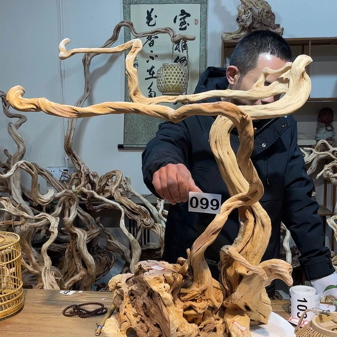 柏木?****?杜鹃红梅溪湖
