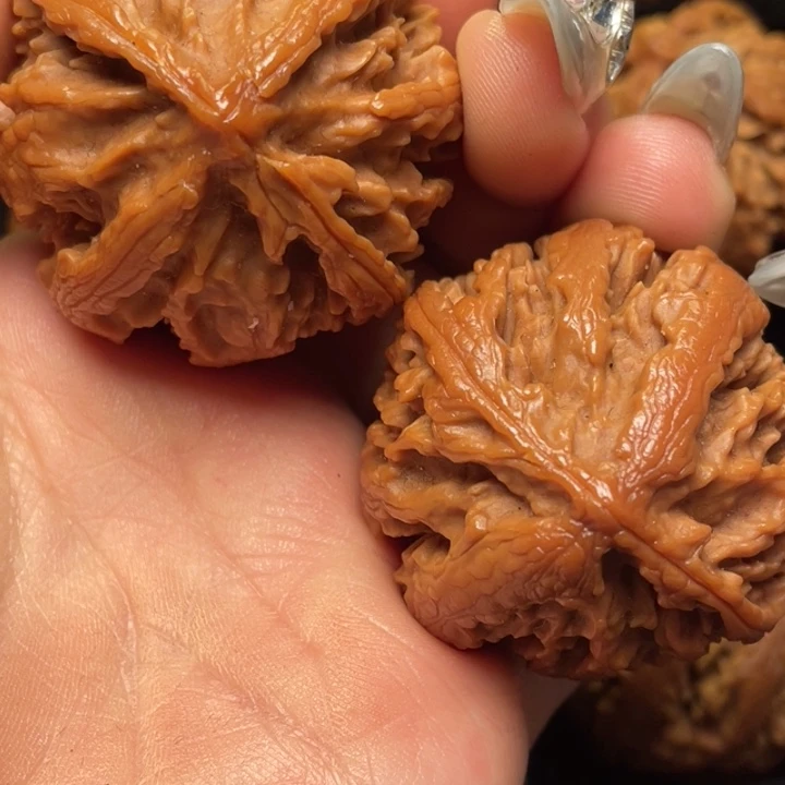 文玩核桃把件秦岭山脉核桃