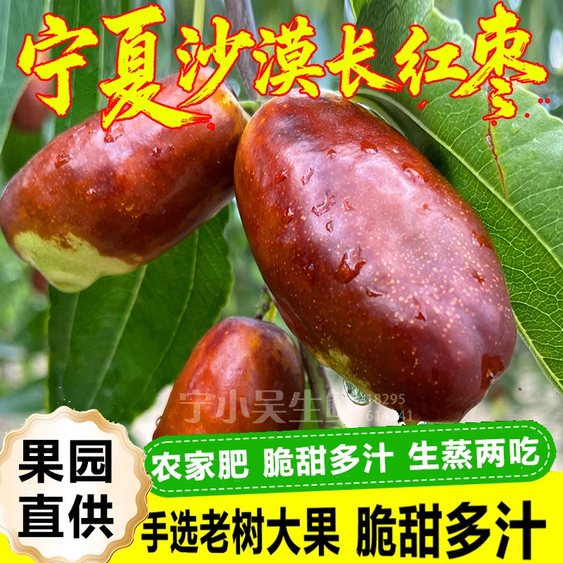 顺丰新鲜现摘宁夏灵州沙漠长红枣鲜枣红枣冬枣脆甜多汁马牙枣生态