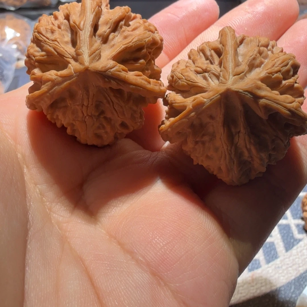 文玩核桃把件御龙三棱