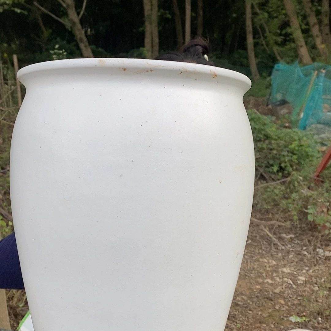 紫砂花盆正品口径25高30