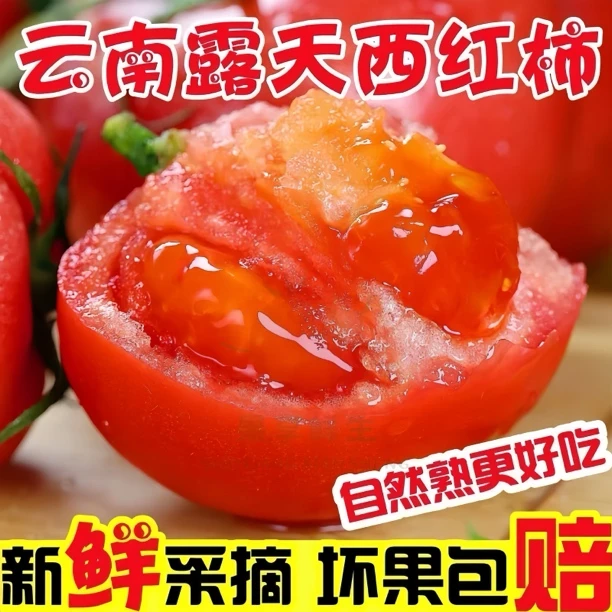 【云南露天农家西红柿】新鲜沙瓤番茄酸甜铁皮水果蔬菜西红柿一整箱