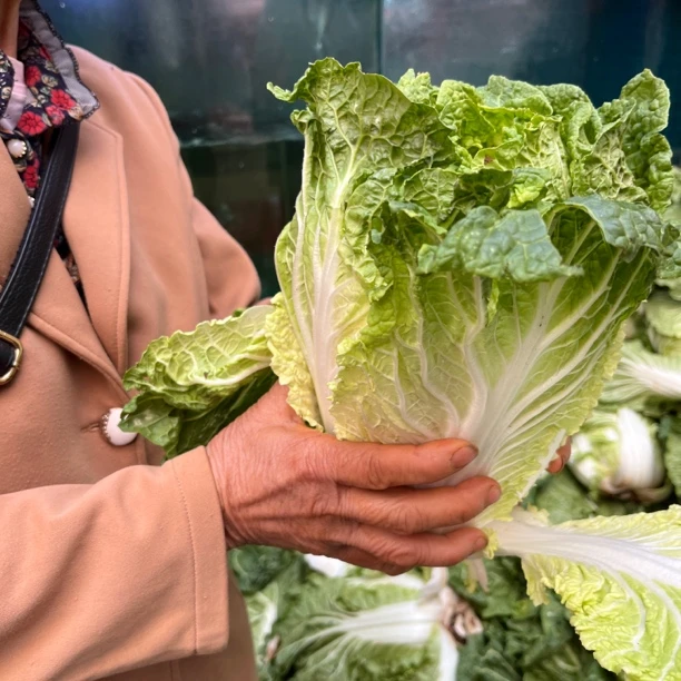 大白菜  云南农家露天（不支持七天无理由）