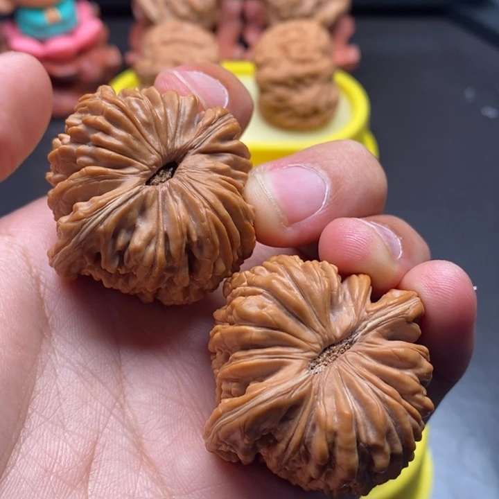 42尺拱桥楼大菊花底