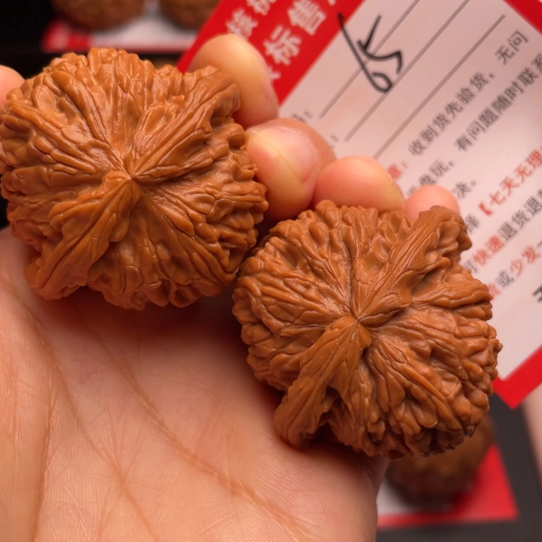 文玩核桃把件白狮子42尺