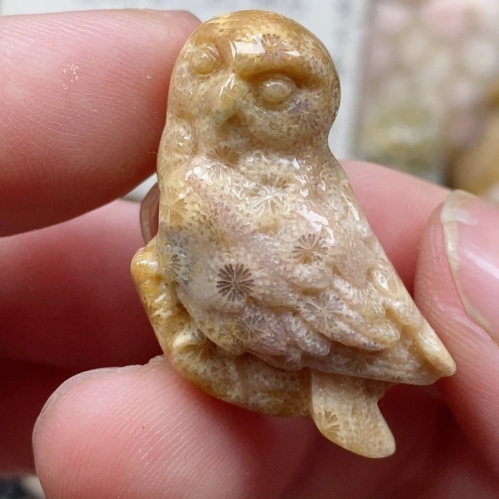 颈饰未镶嵌硅化珊瑚（珊瑚玉）小