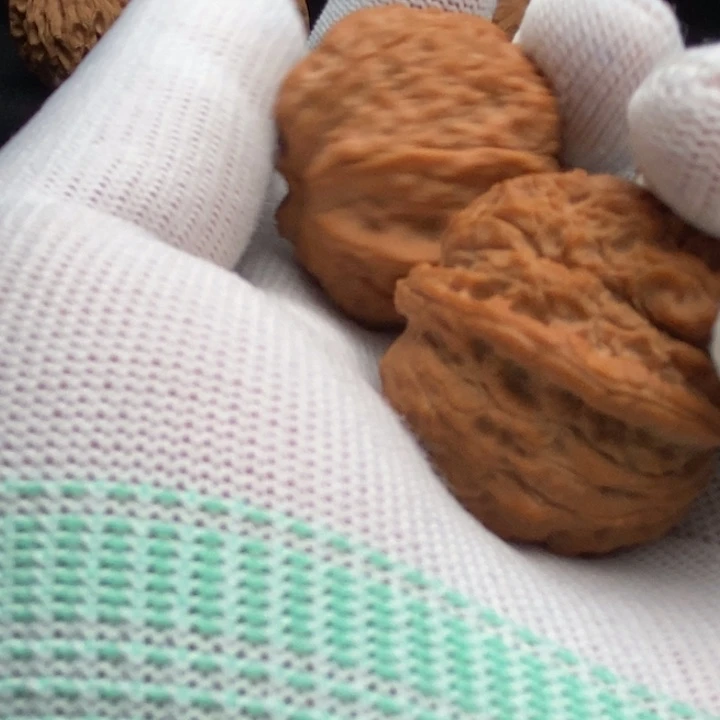 文玩核桃把件?**酱血麒麟