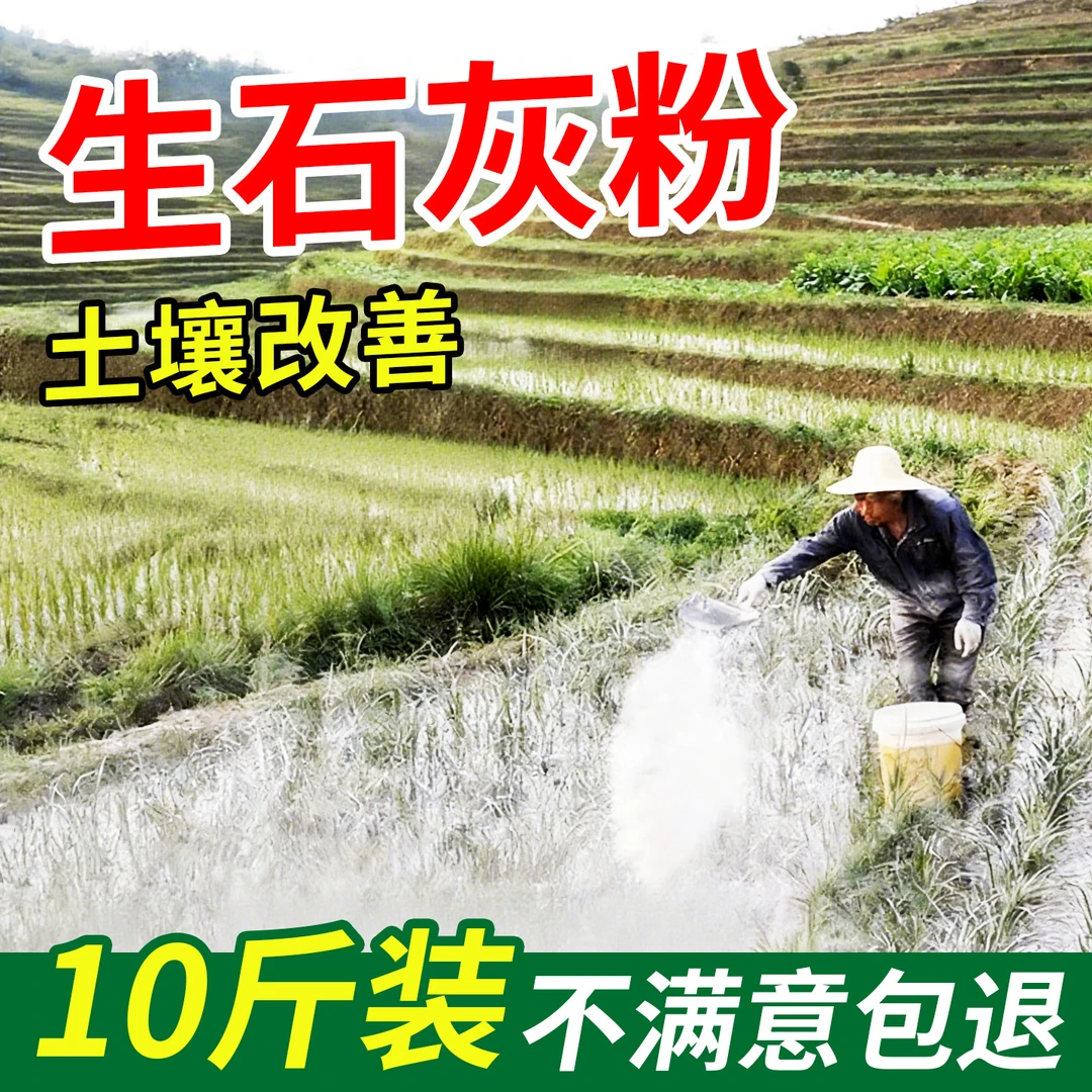 生石灰粉杀虫种菜杀菌消毒高纯度干燥剂改善水质改良土壤农业防霉
