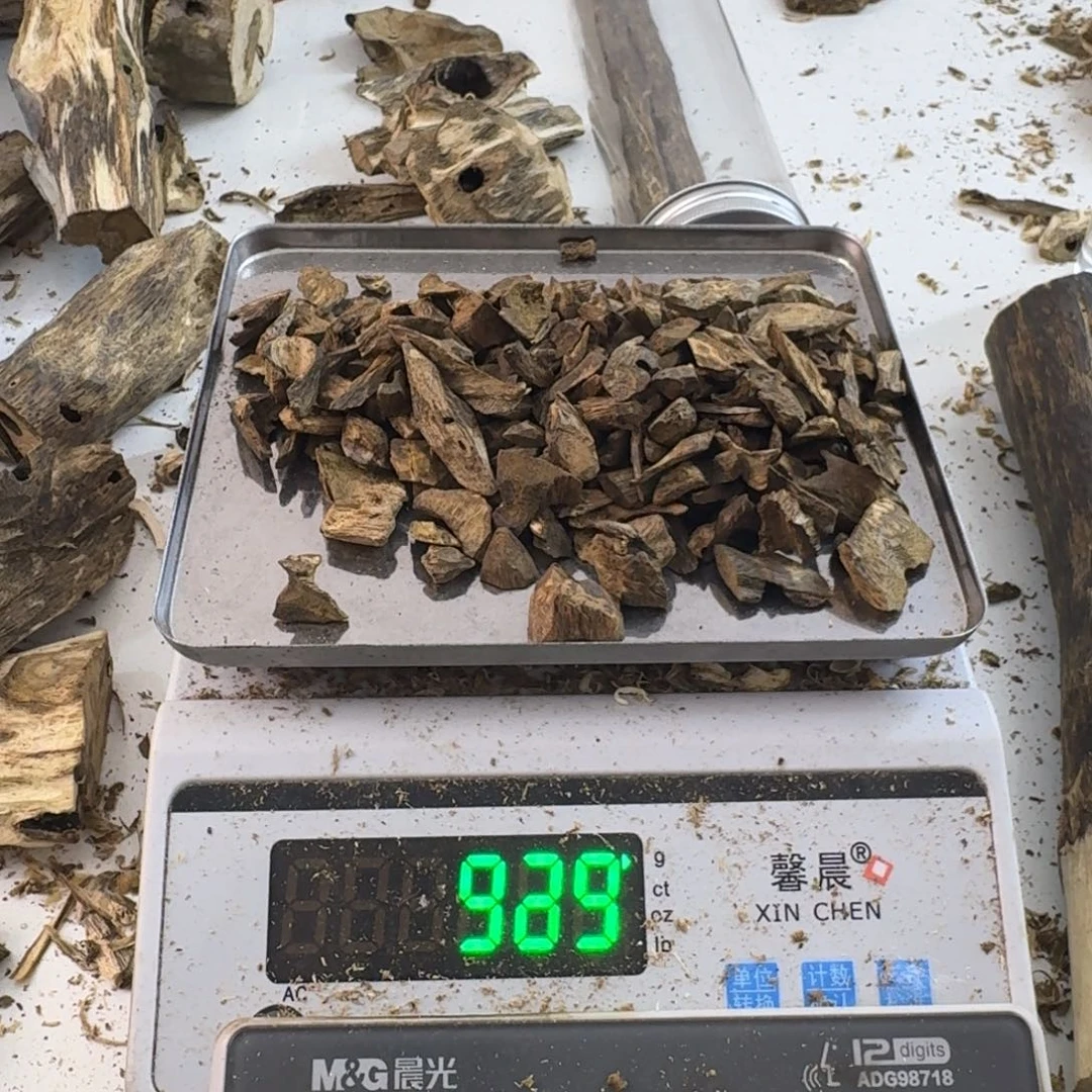 沉香碎屑沉香绿绮楠沉香98克