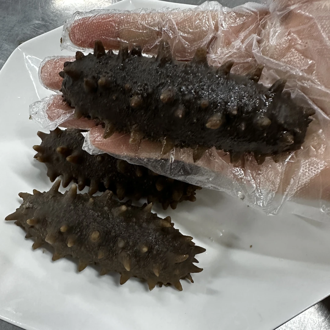 【益娜娜专属】即食海参  3斤 急冻  发中通介意勿拍