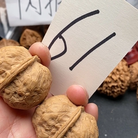 桃核吊坠44全品玄武元宝