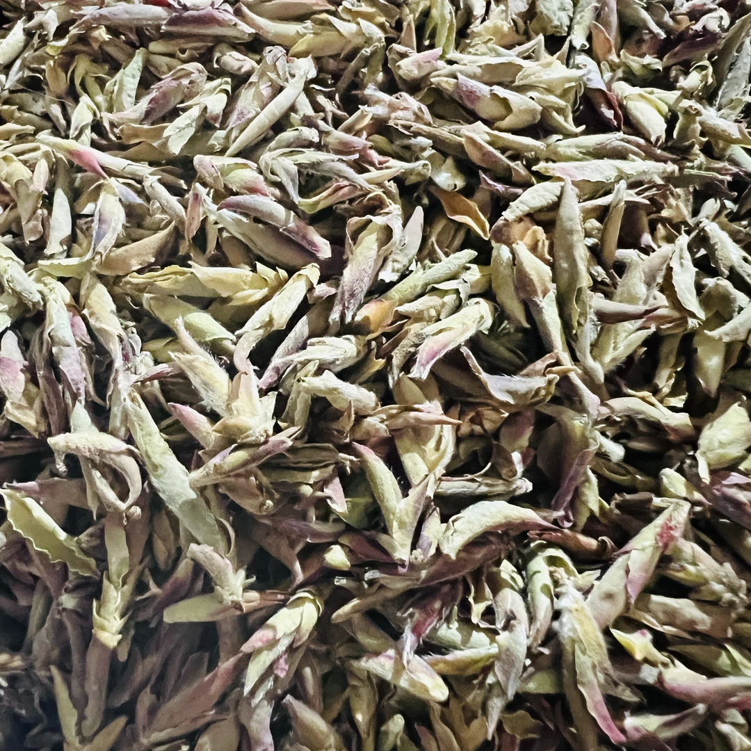 卓【茶山小原】2025年野生紫芽苞普洱白散茶100g/份(正装试喝)