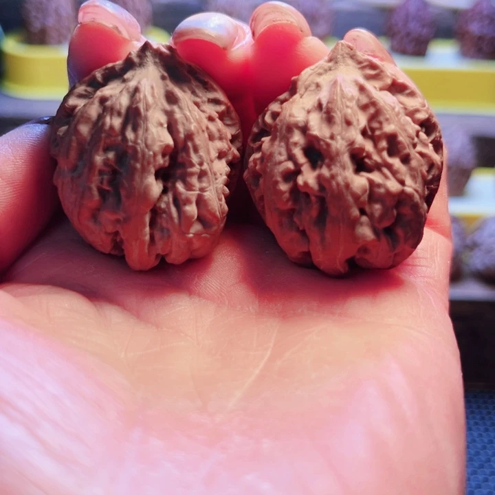 核桃9号车fangloulouloulo？