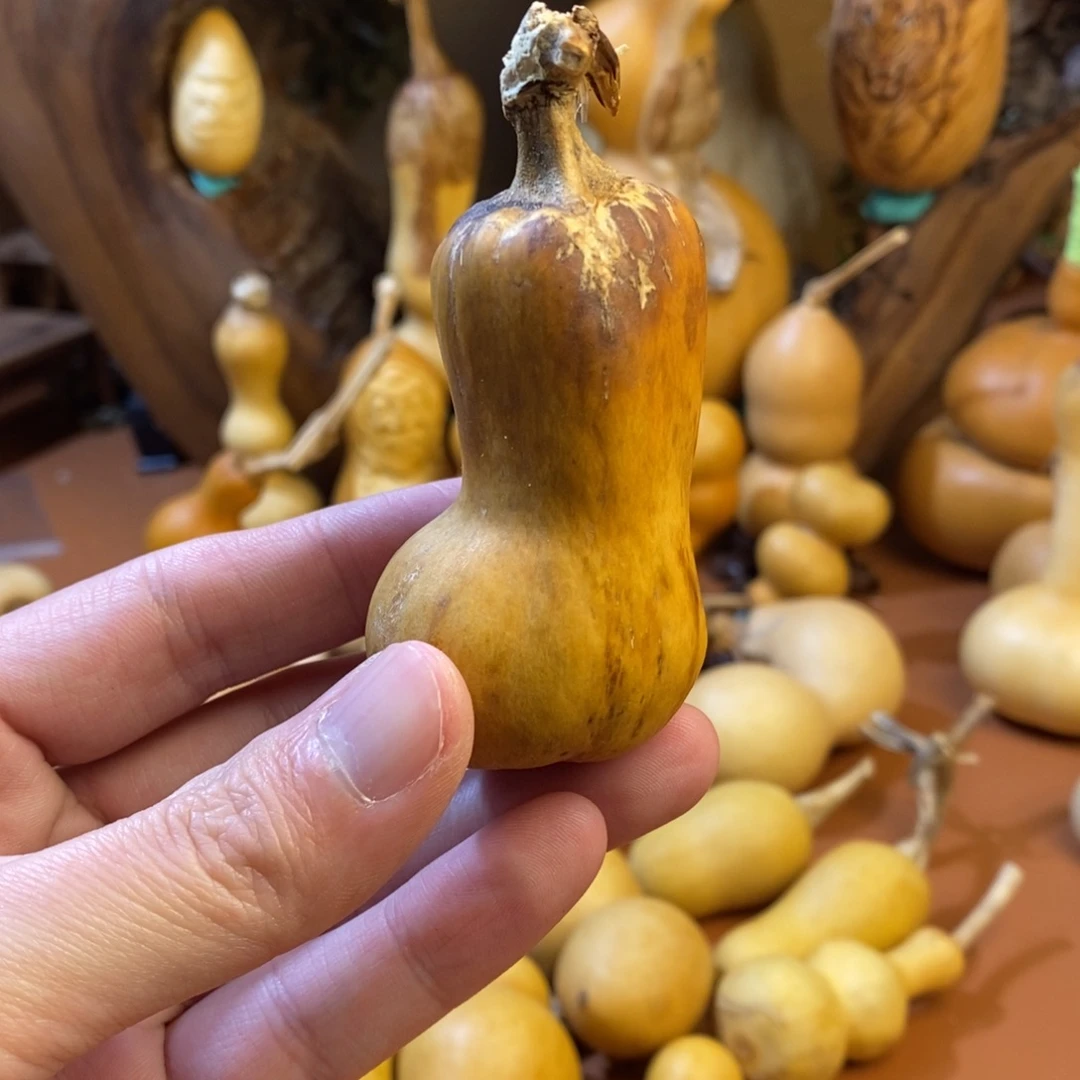 教练教练咯教练经理