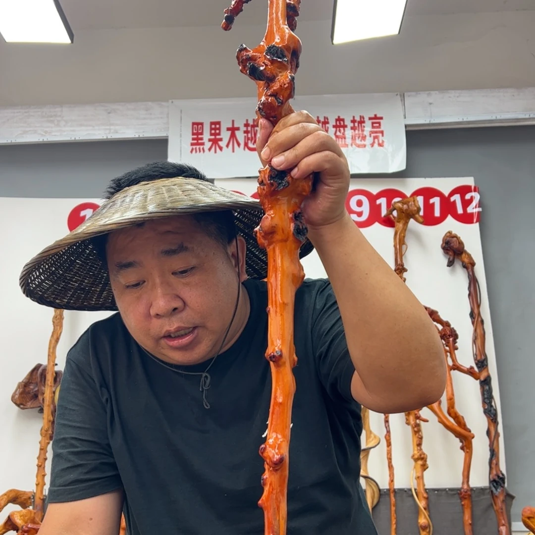 礼***通黑果木其他黑果木518