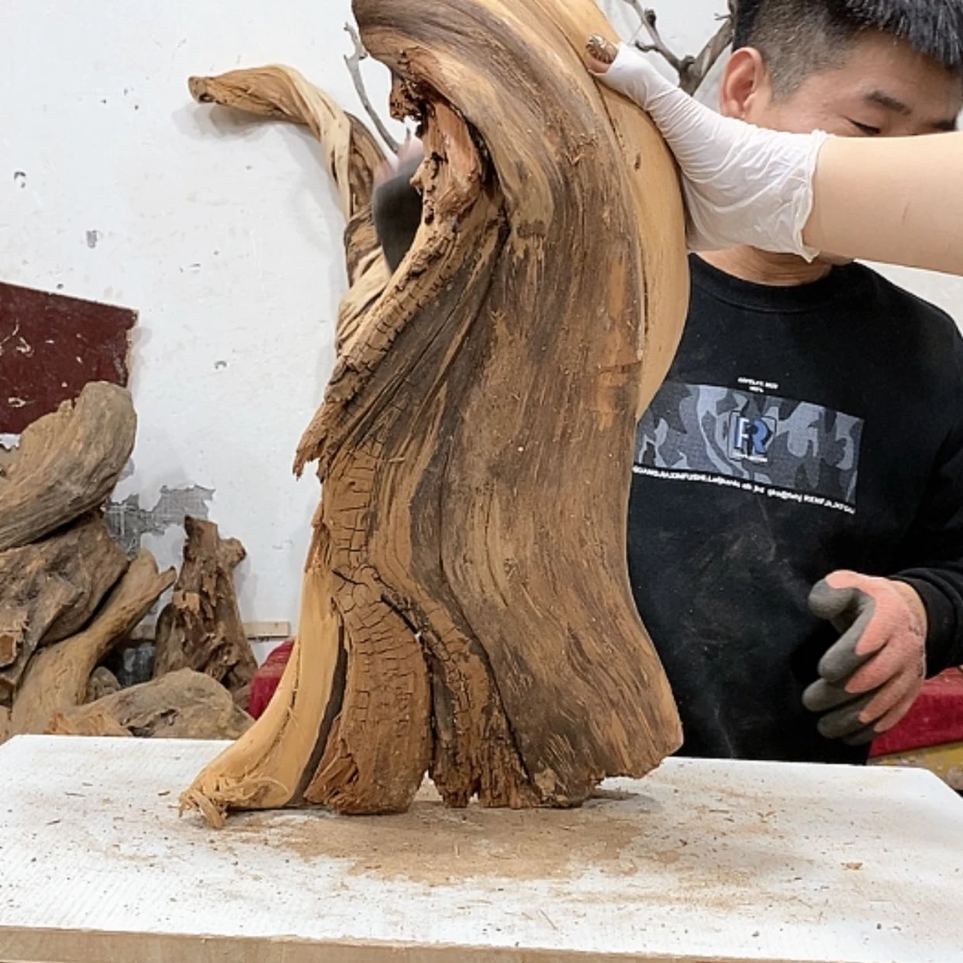【闪购商品】柏木7*7我们都是好孩子
