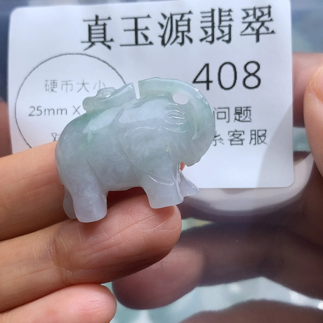 翡翠未镶嵌颈饰508