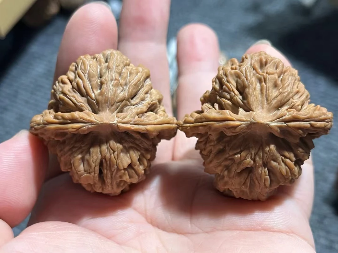 小曹臻选（文玩核桃怀柔四座楼含快递费，随机发货）