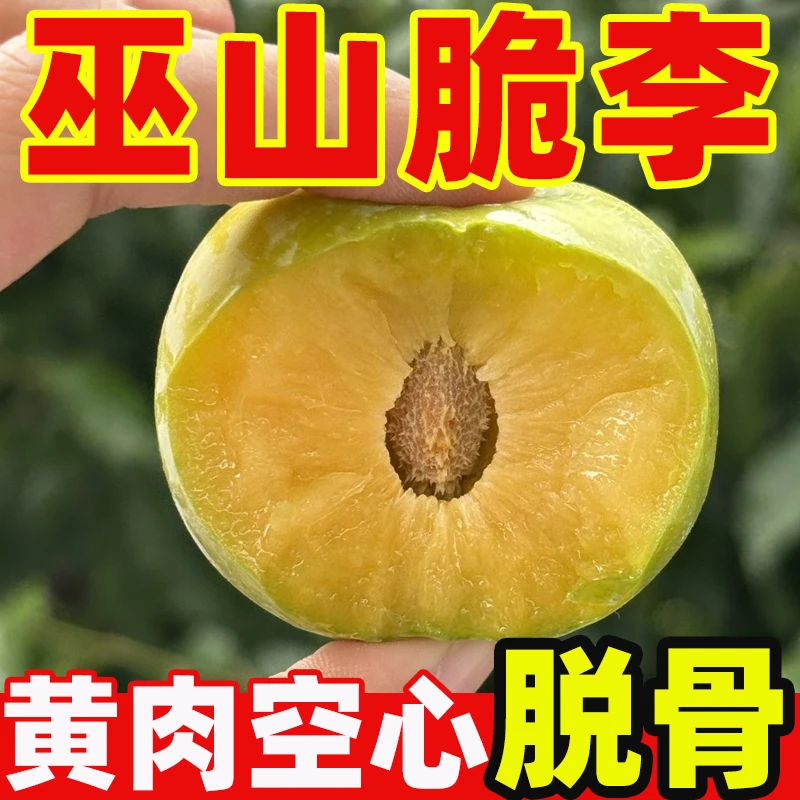 D重庆巫山脆李脱骨青脆李新鲜应季水果脆甜爽口包邮
