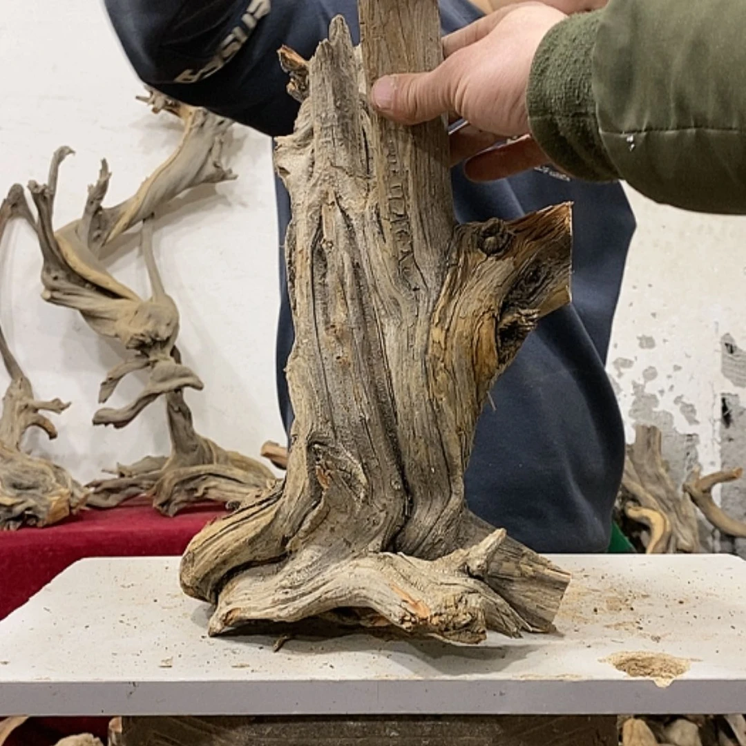 【闪购商品】柏木木****店我们都是好孩子