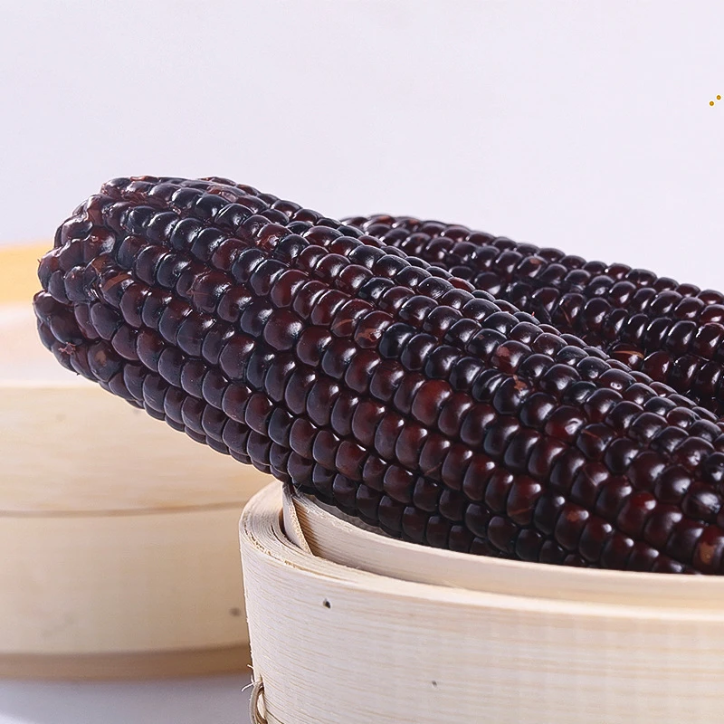 【试吃2根】东北黑糯玉米真空装10根新鲜甜糯玉米开袋加热粗粮