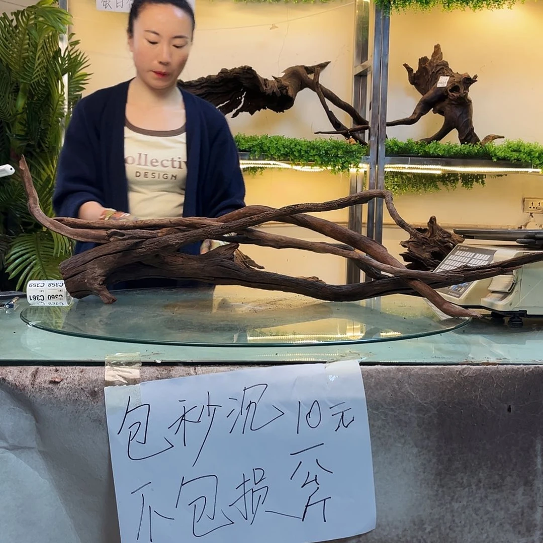 柚木九**七沉木鱼缸造景