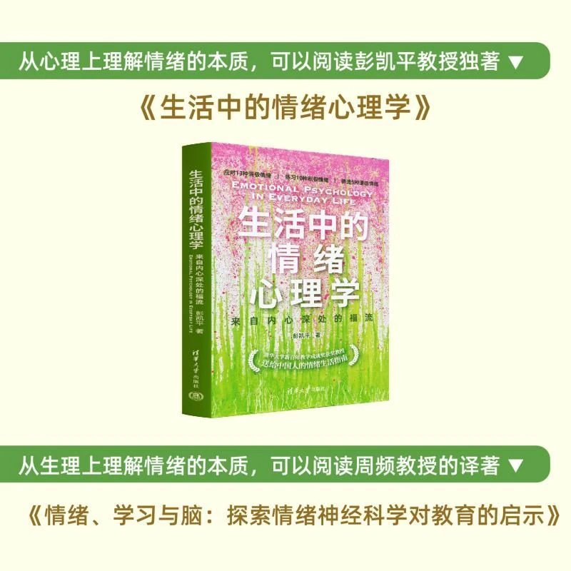 【当当】生活中的情绪心理学：来自内心深处的福流 入围年度中国好书