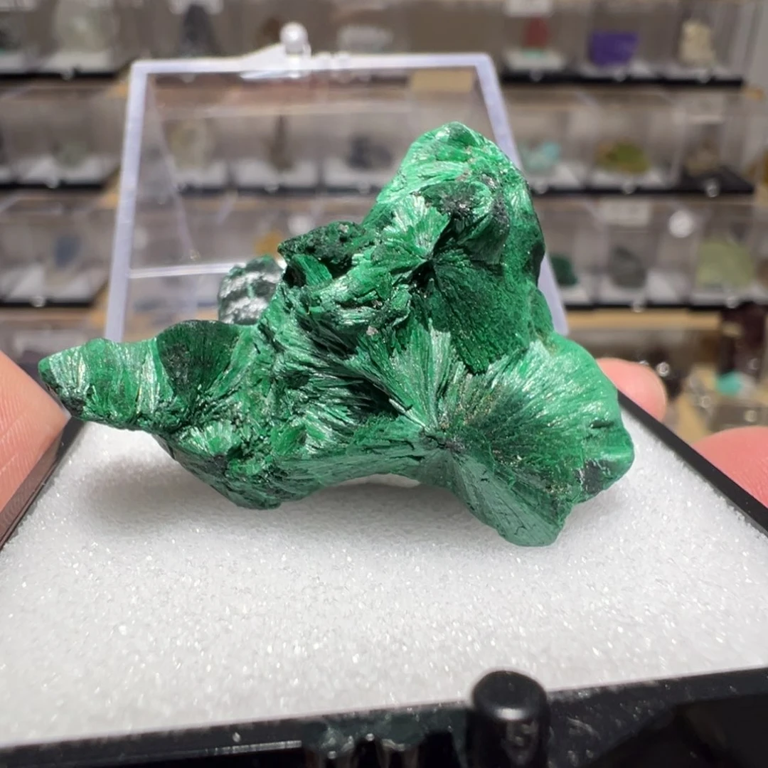 银S925镶嵌紫晶大型摆件（非配饰）